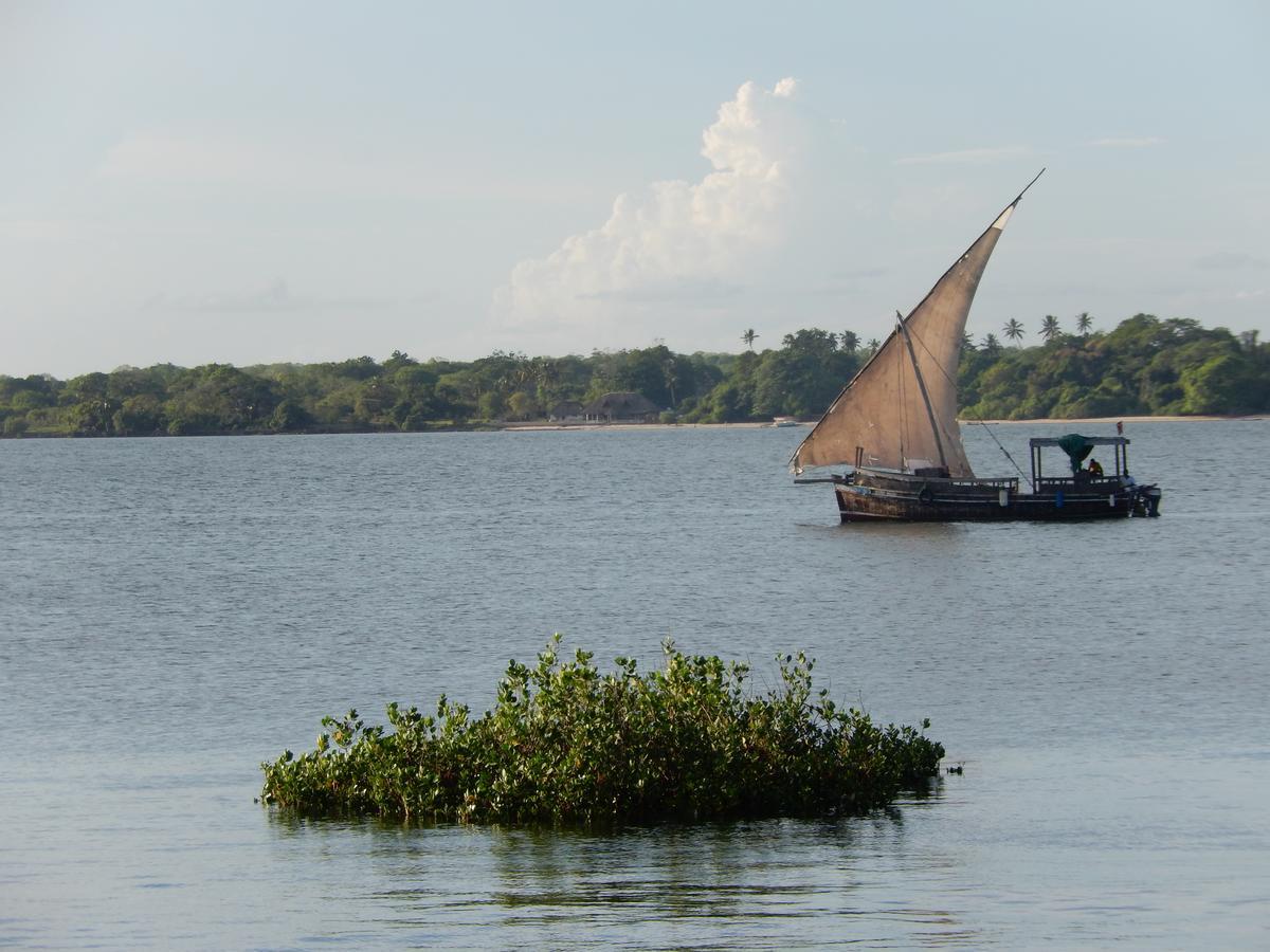 Blue Monkey Beach Cottages Shimoni Exterior foto